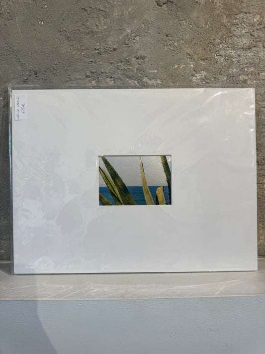 Cécile Larher - Beyond, 2022