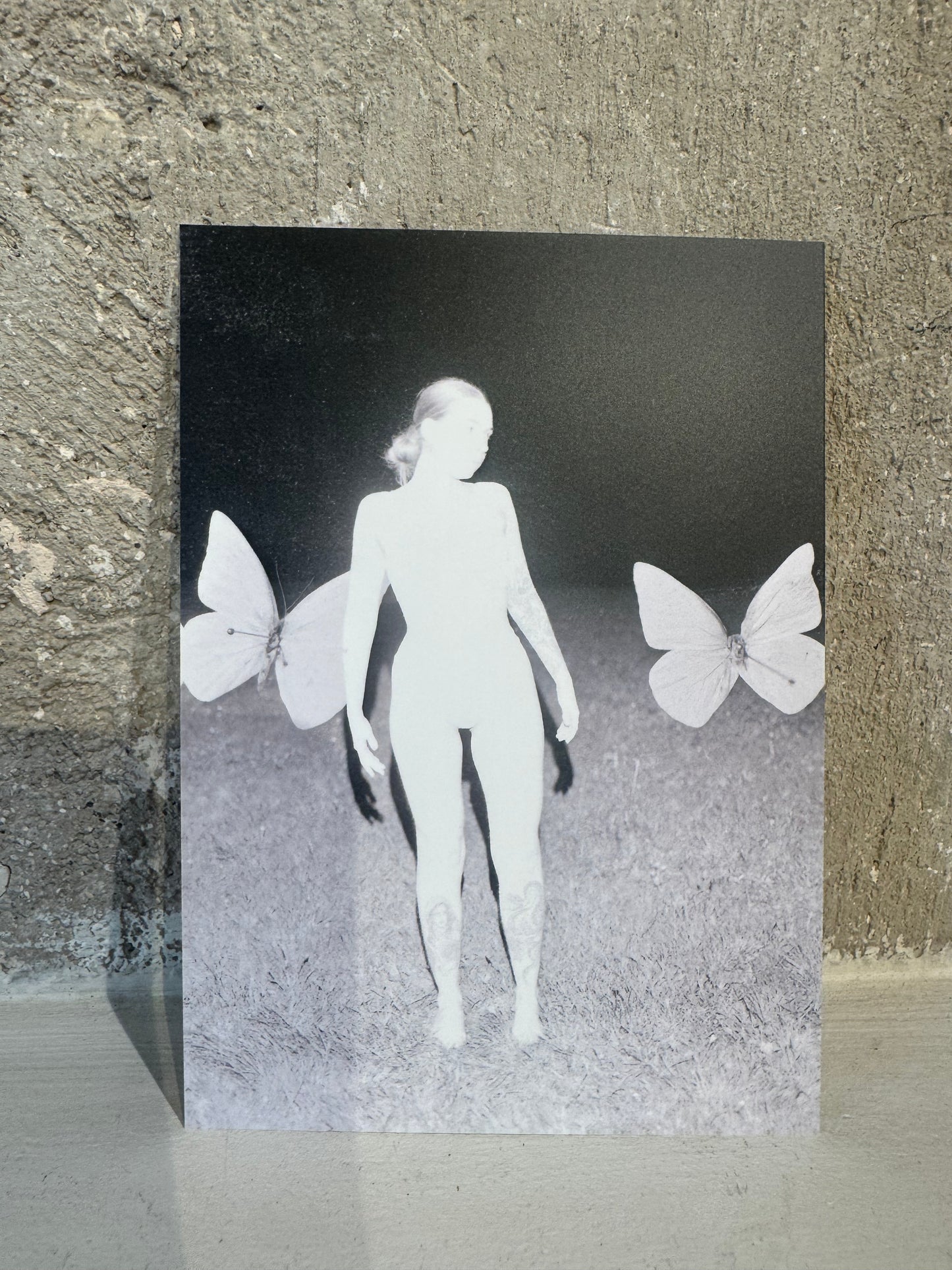 Cartes postales - WP