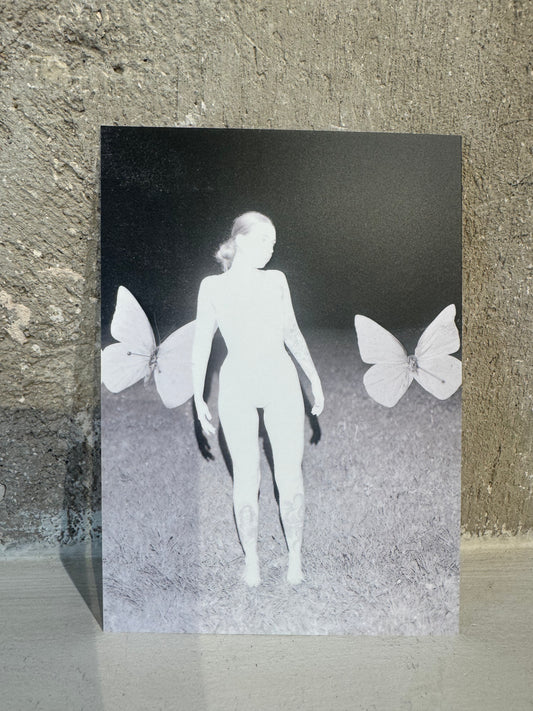 Cartes postales - WP