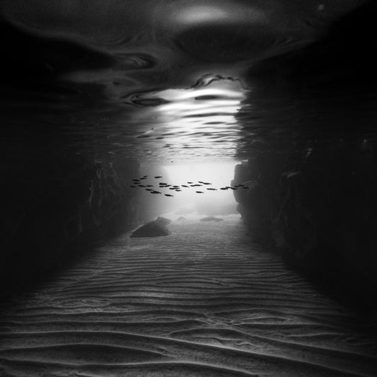 Lucas Guidi - Illusion 2025