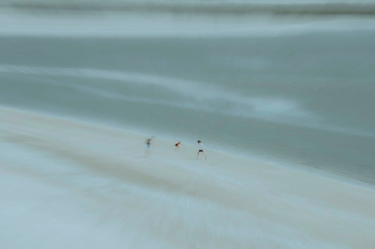 Maxime Antony - Vives eaux 06