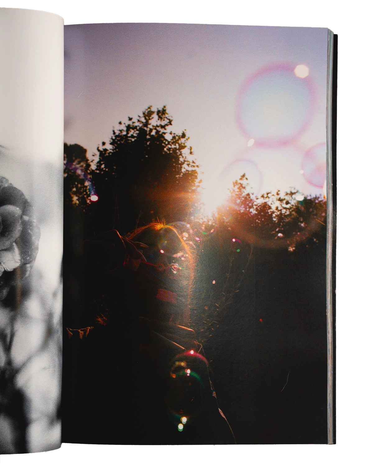 Rastchoutchas - livre "SHIT BOOK"