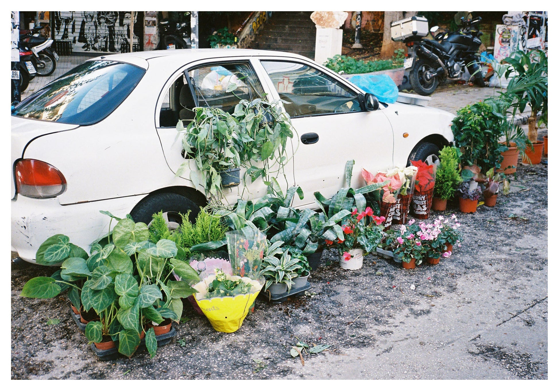 Spyros Rennt, Kallidromiou farmers market — Postcards from Athens, Galerie Faces