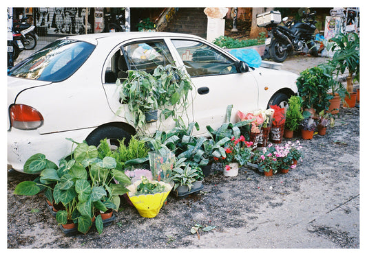 Spyros Rennt, Kallidromiou farmers market — Postcards from Athens, Galerie Faces