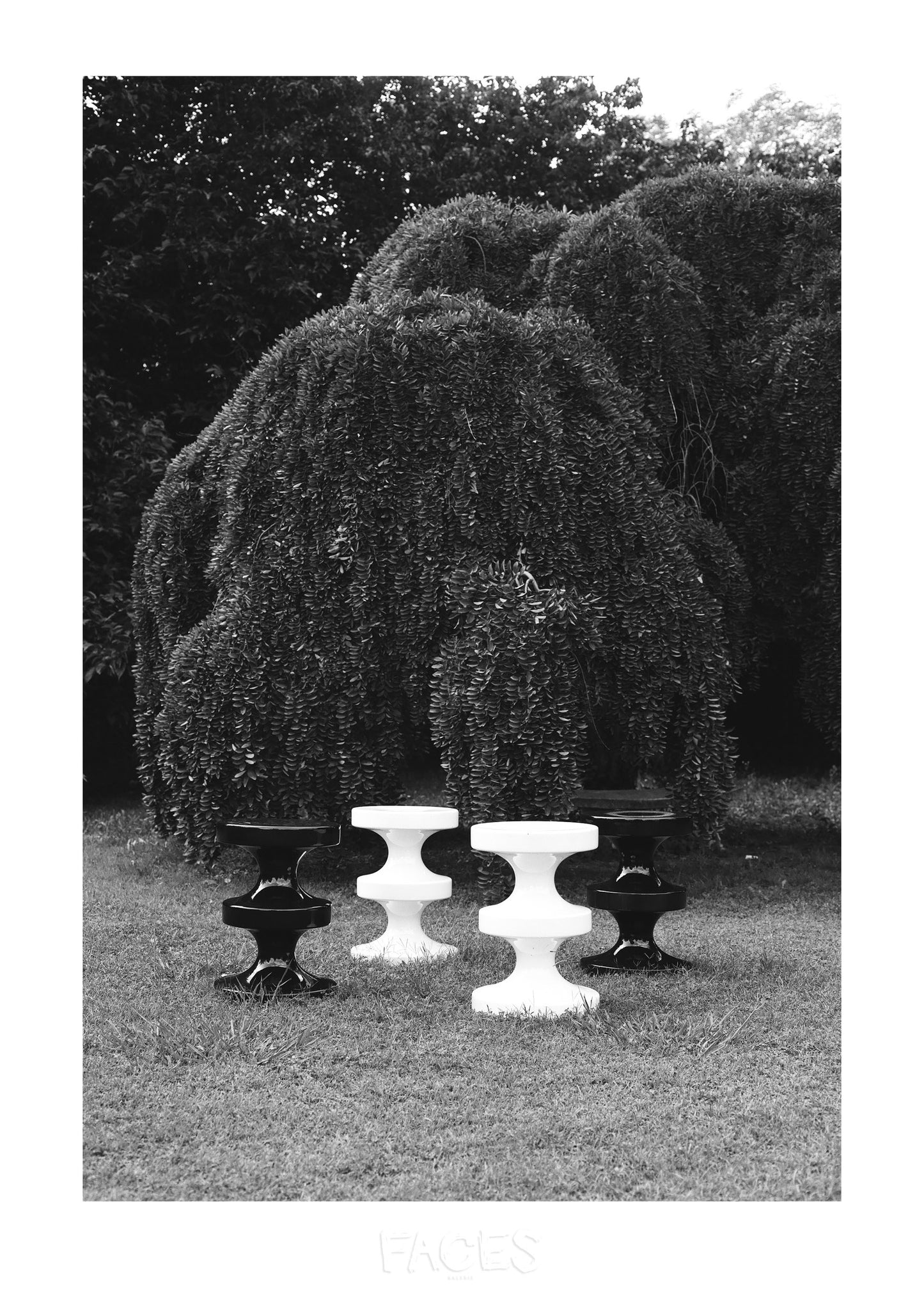 John Rigard - SHAPES