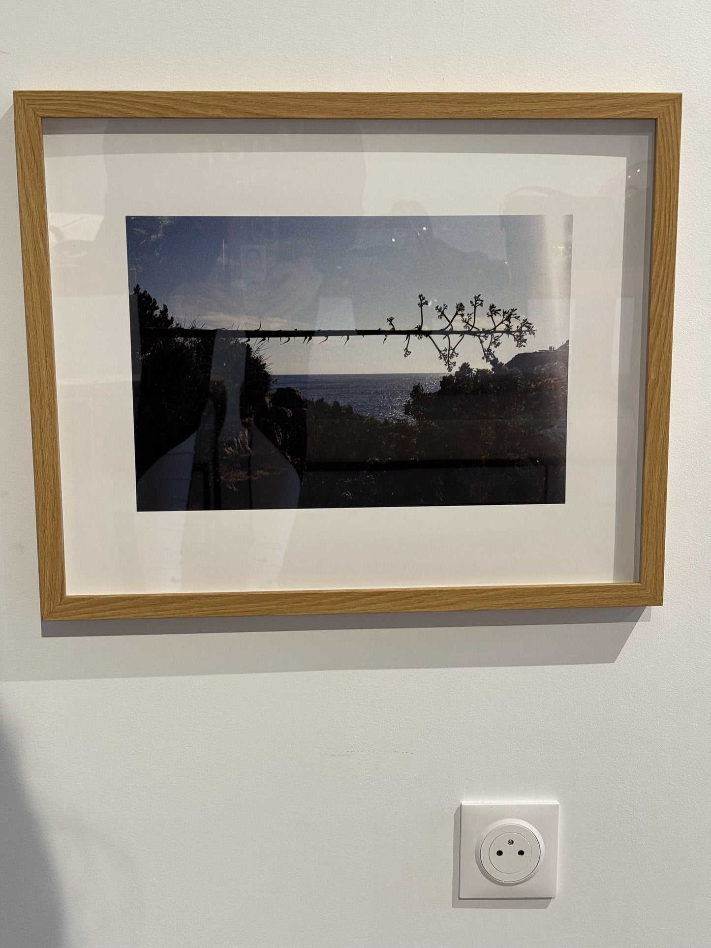 Victoire Eouzan - Agaves double expo, Samena